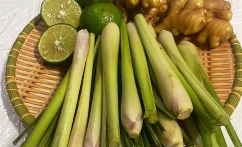 Bài thuốc giúp hết đầy bụng khó tiêu, tiêu mỡ máu, phá thức ăn trong dạ dày bị kết hòn cục tắc nghẽn không xuống ruột